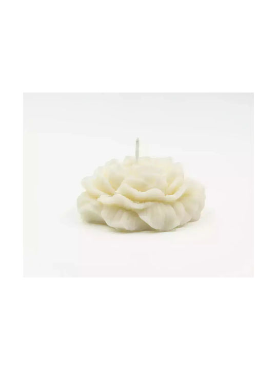 Leather Creations XK Aromatisches Soja-Kerze mit Frischem Seifen-Parfüm