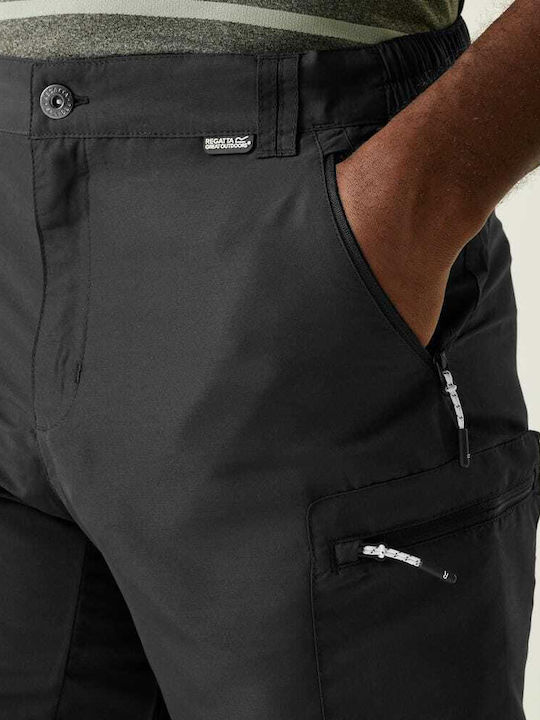 Herrenshorts Ash