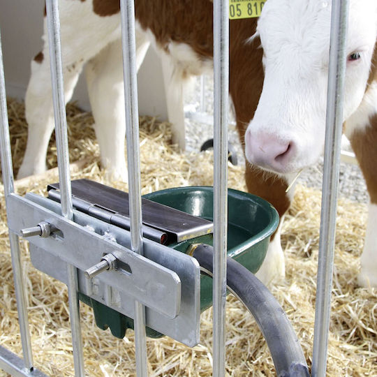 Kerbl Kerbl Futternäpfe & Wasserschalen für Hund