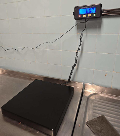 TE Tameiaki Express Electronic with Weighing Capacity of 75kg and Division 10gr