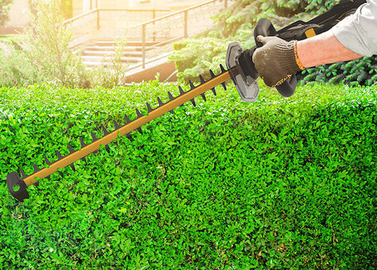 CAT DG220 Hedge Trimmer Battery 18V with Blade 61cm 05-8228