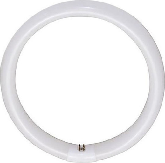Philips Fluorescent Lamp for Socket G10Q with Shape T9 40W