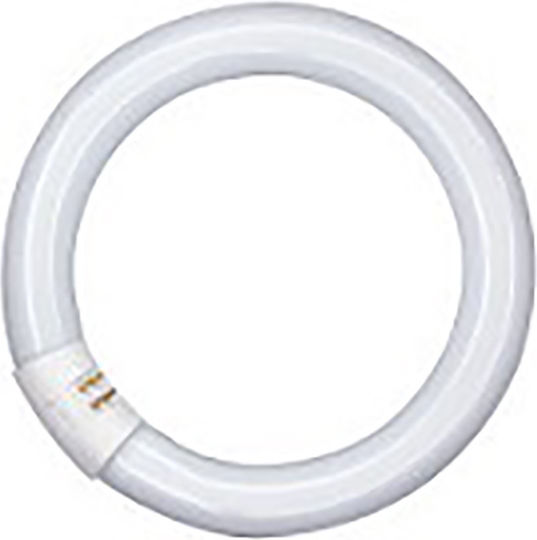 Ledvance Fluorescent Lamp for Socket G10Q with Shape T9 32W 305mm