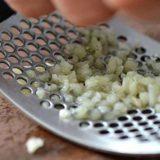Plastic Manual Garlic Press