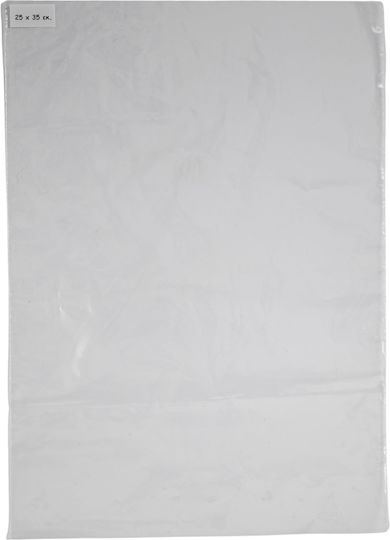 Polyethylene (PE) Packaging Bag 17x28cm 100pcs