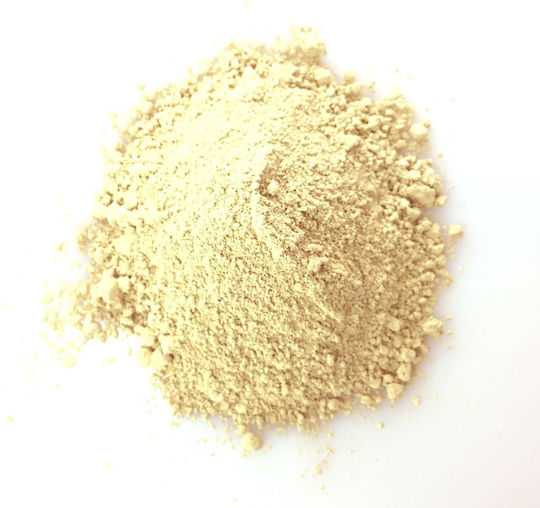 Zeolife Διατομίτης Εντομοκτόνο σε Σκόνη 500gr