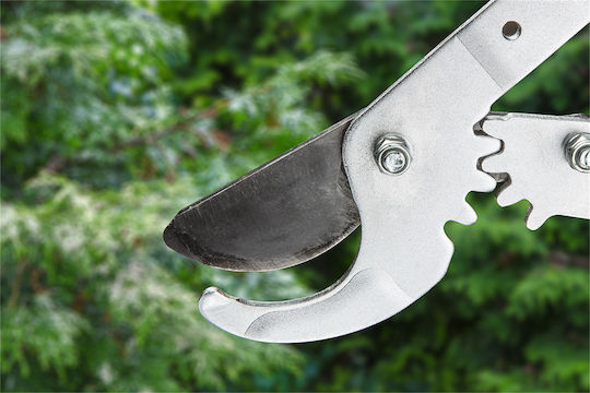 Verto Telescopic Pruning Shears 69cm Bypass Lopper 69cm for branches up to 42mm