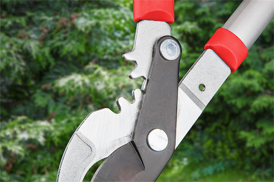 Verto Telescopic Pruning Shears 69cm Bypass Lopper 69cm for branches up to 42mm