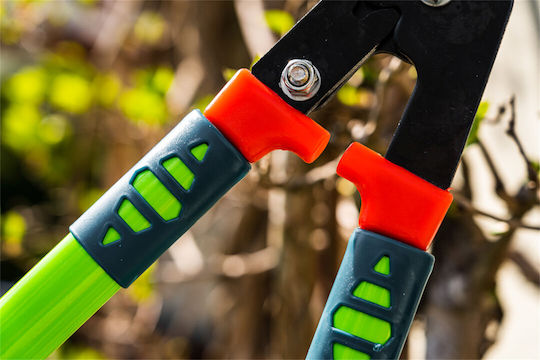 Verto Телескопична ножица за подрязване 70cm Подстригвач за обход на клони 70см за клони с диаметър до 30мм