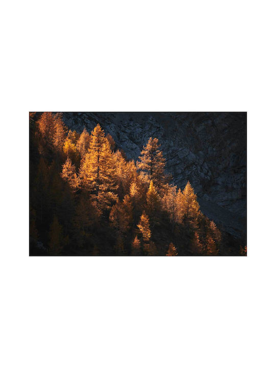 Πίνακας Golden Sunlit Trees Χρυσά Ηλιόλουστα Δέντρα 90x60