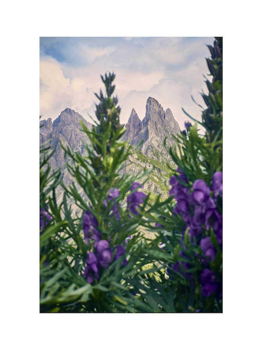 Πίνακας Mountains Flowers Βουνά Λουλούδια 80x120