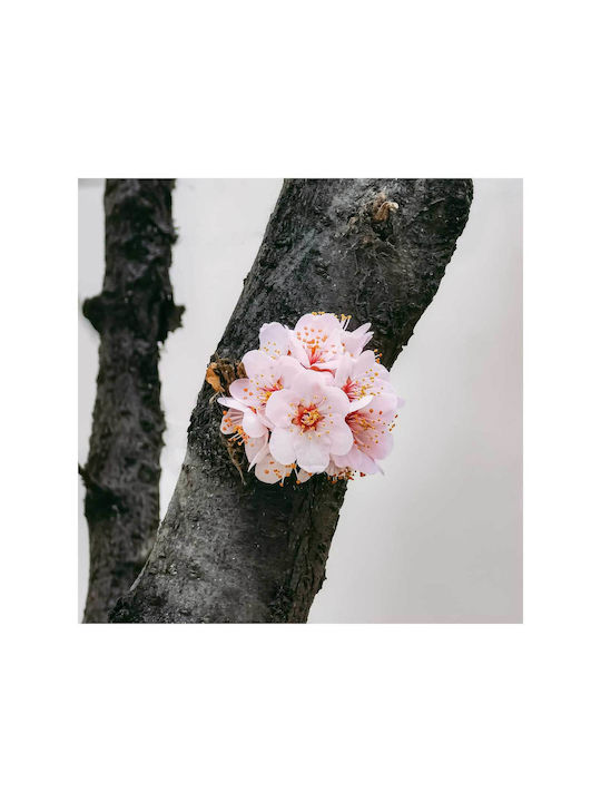 Painting Blossoming Flowers On Tree Bark 100x100