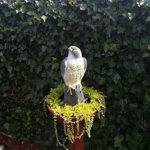 Abschreckungsattrappe Vögel 390gr 0.4x0.4m