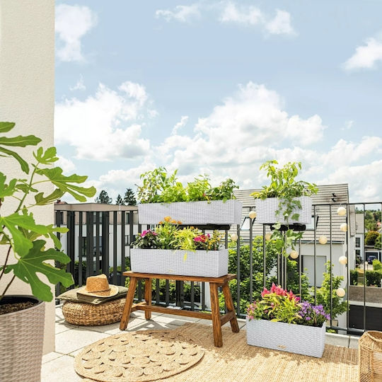 Lechuza Balconera Cottage Кутия за саксии Пластмаса Бял Lechuza Balconera Cottage Кутия за саксии Пластмаса Бял