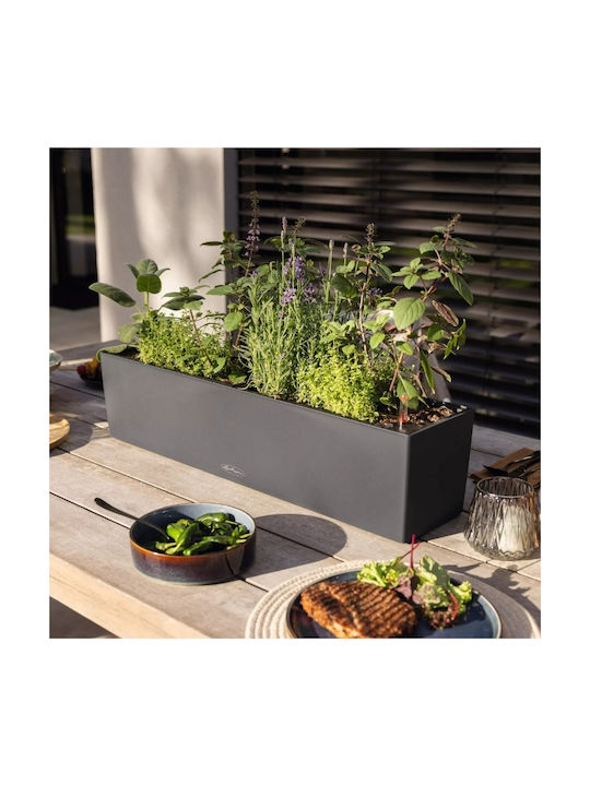 Lechuza Self-watering Planter Box Plastic Slate 40x19x19cm.