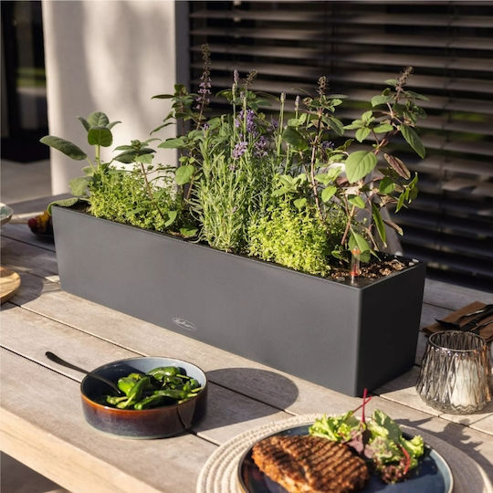 Lechuza Auto-udare Planter Box Plastic Slate 40x19x19cm.