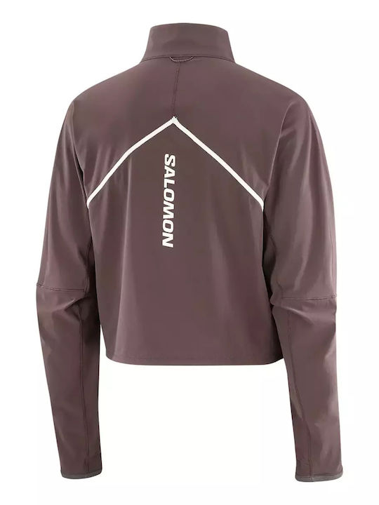 Women's Running Crop Lifestyle Jacket Waterproof for Winter Dark Brown