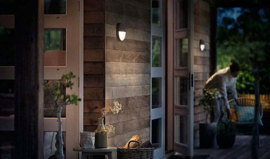 Philips MyGarden Capricorn Broasca Testoasa Led Încorporat 6W Philips MyGarden Capricorn Broasca Testoasa Led Încorporat 6W