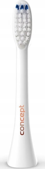 Concept Perfect Smile Daily Clean ZK0050 Ersatzköpfe für 4 Stück