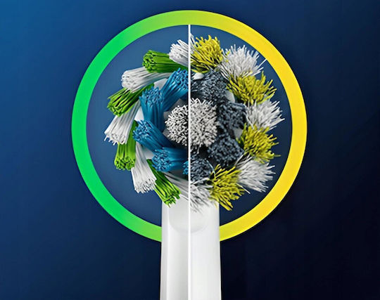 Oral-b Pro Cross Action Eb50rx 2+2+2 Ersatzkopf