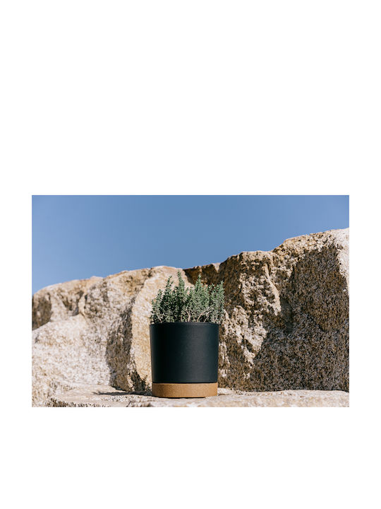 Prosperplast Ghiveci Lemn Verde 17.8x17.8εκ.