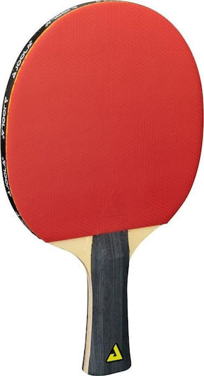 Joola Quattro Σετ Ρακέτες Ping Pong για Αρχάριους Παίκτες