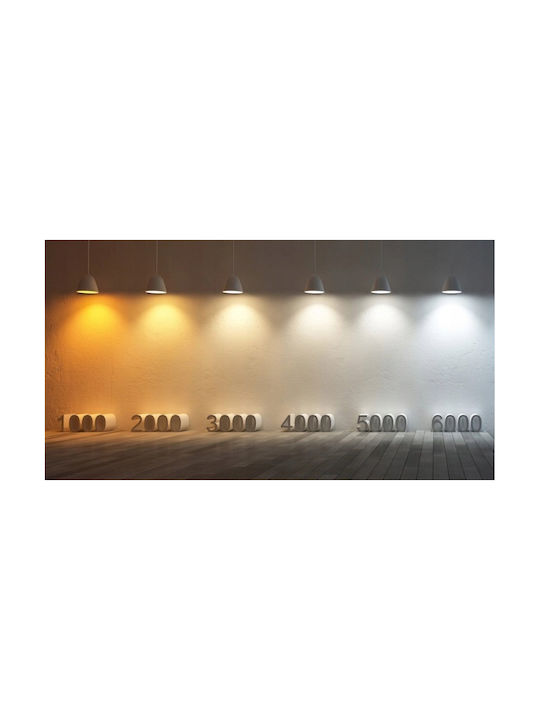 TK Lighting Κρεμαστό Φωτιστικό Χρυσό με Ντουί E27