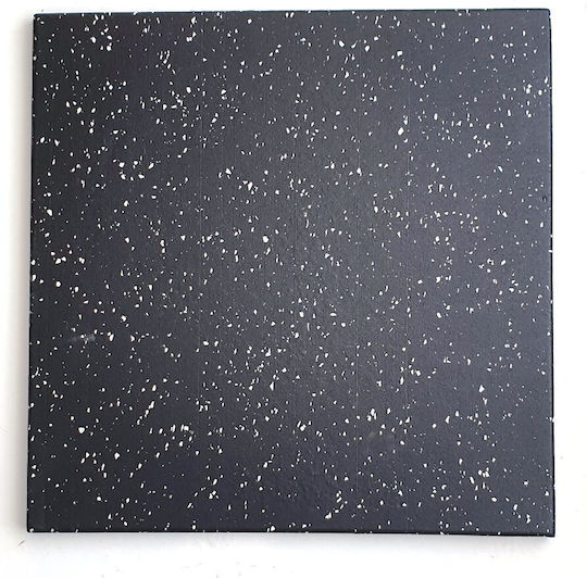Optimum Podele Echipament de gimnastică Podele de Gimnastică Negre 50x50x2cm 1buc