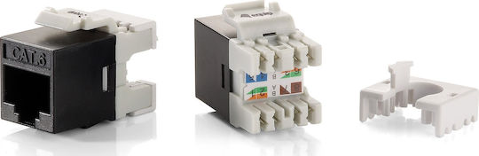 Equip Keystone 8Stück (769212)