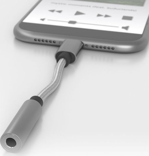 TerraTec Connect C50 Konverter USB-C männlich zu 3.5mm weiblich Gray 1Stück