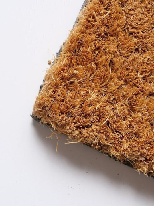 Boltze Entrance Mat made of Coir 40x60cm