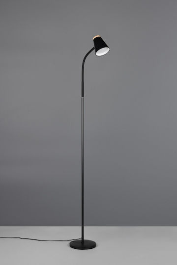 Trio Lighting LED Stehleuchte mit Warmweißem Licht Schwarz