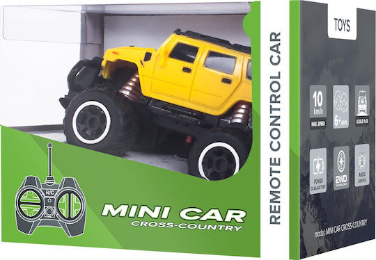 Rebel Remote Controlled Car