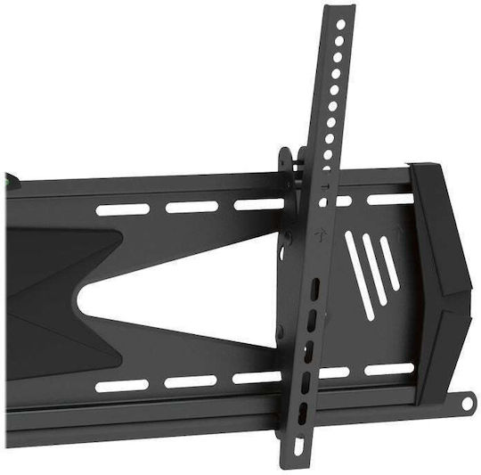 StarTech S55058175 Επιτοίχια έως 70" και 40kg