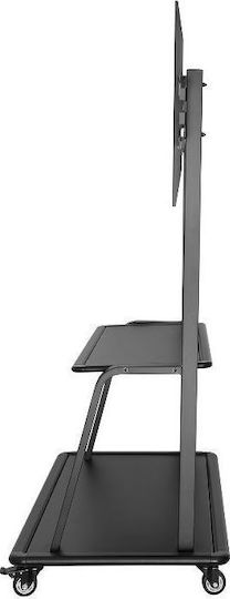 Neomounts NS-M4000BLACK Стойка за телевизор Стенен до 105" Черен