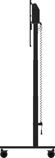 Iiyama Stand Floor Monitor up to 98" (MD CAR2031-B1)