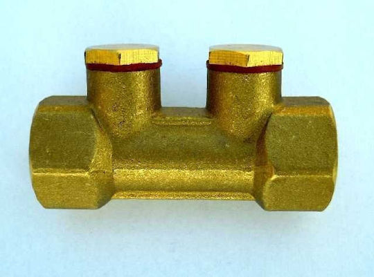 Alkotest Backflow Prevention Valve 1/2' Hydroland Tg.z.antysk.1/2'-h