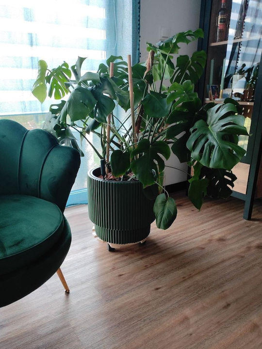 Prosperplast Саксия Зелен 24x24εκ.