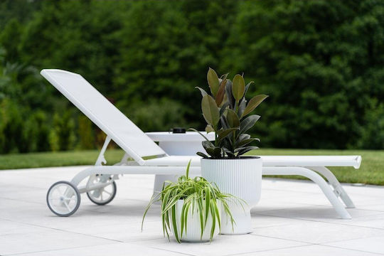 Prosperplast Planter Green 30x30cm.