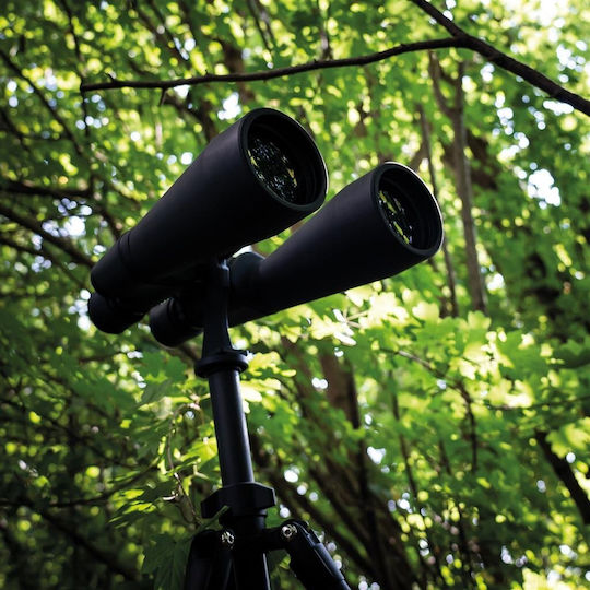 Dorr Jumbo Binoculars 11x70 Black
