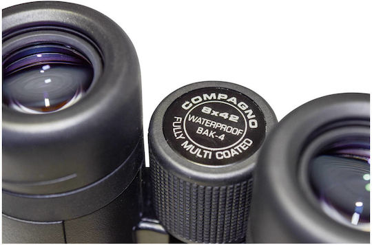Braun Phototechnik Κιάλια Wasserdicht Compagno WP 8x42mm