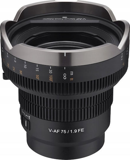 Adapter Mf Samyang Samyang V-af
