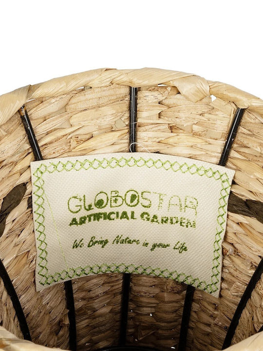 GloboStar Monaco Саксия Дърво Бежов 25x25x45εκ.