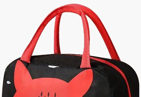 Bartuggi School Insulated Food Case Red
