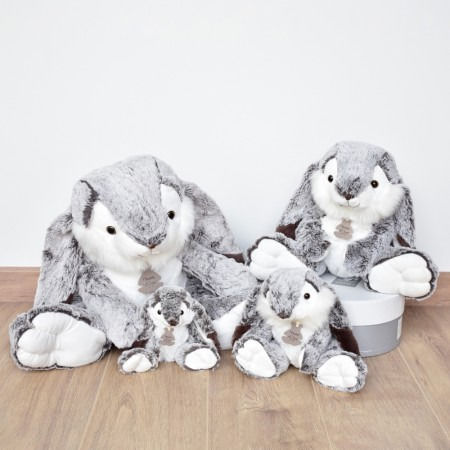 Histoire d'Ours Iepuraș de pluș 30 cm.