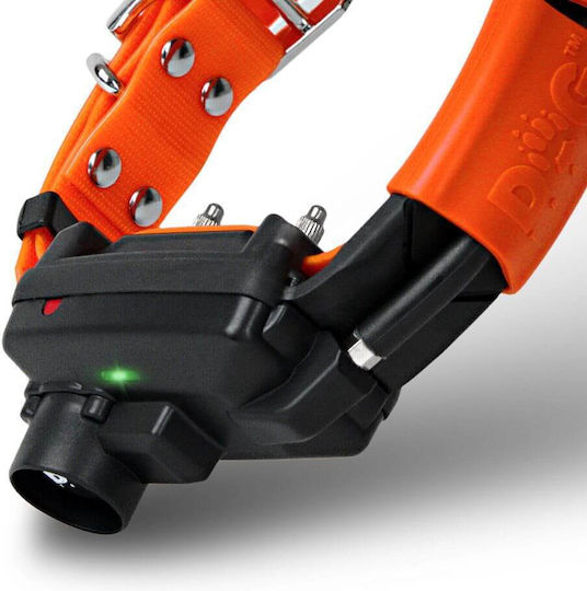 Dog Trace Gps X30t Elektrisches Trainingshalsband für Hunde
