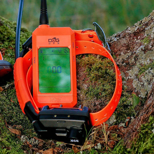 Dog Trace Gps X30t Elektrisches Trainingshalsband für Hunde