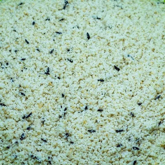 Pastoncino S Michele Bianco Ουδέτερη Πατέ Αυγοτροφή Λευκή 1kg