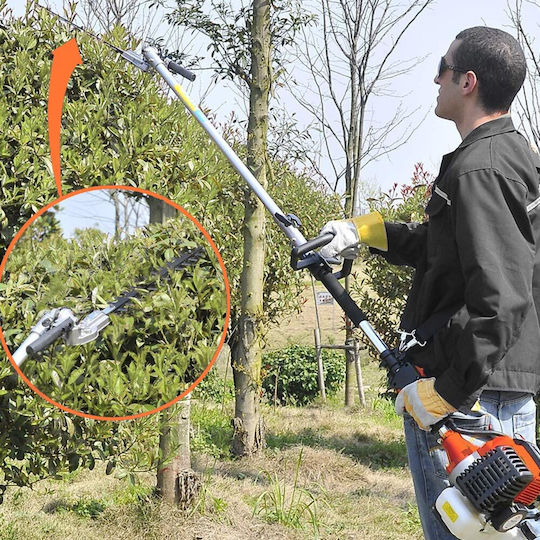 Bakaji 02833350 Garten-Multitool Benzin mit Hochentaster