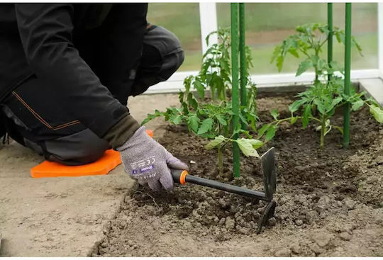 Bradas Cultivator with Three Prongs Hand with Pole 33cm